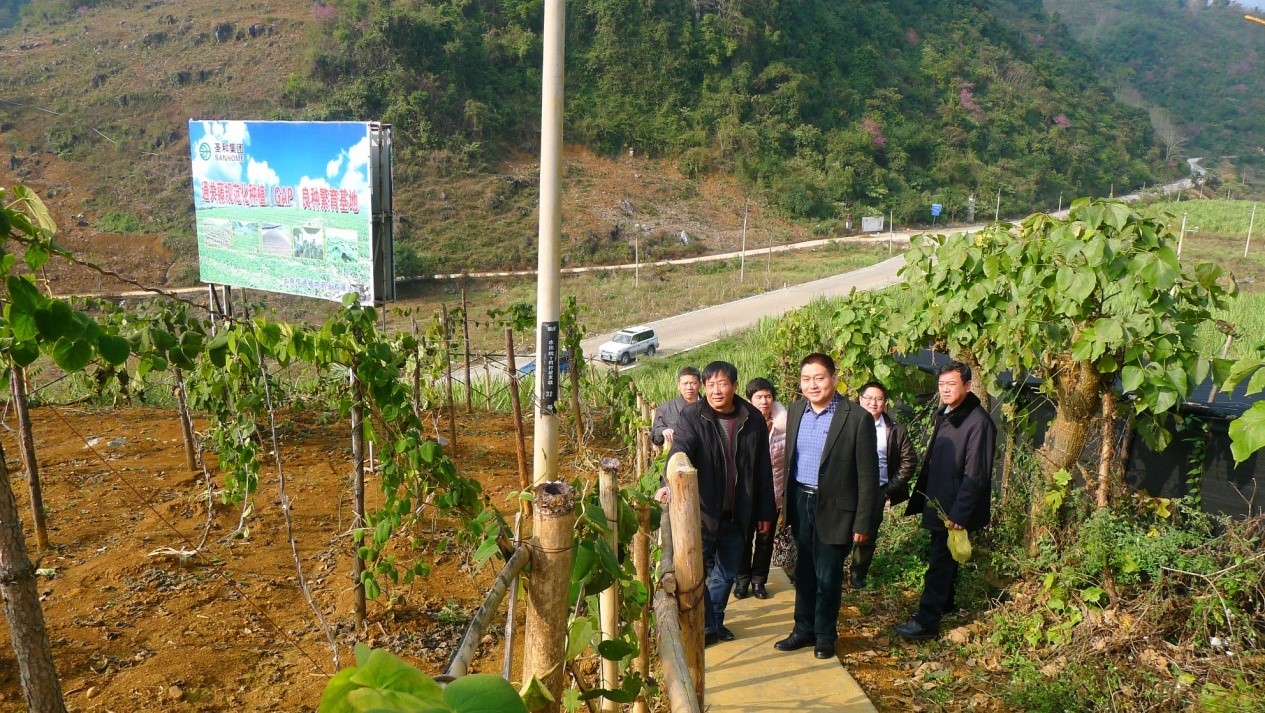 �t����ؔ(c��i)����