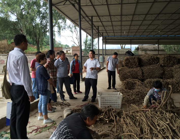 ֲ��ˎ�I(y��)ͨ�^(gu��)�h(hu��n)�u(p��ng)